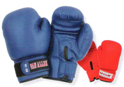 GUANTES BOXEO PU VAN ALLEN